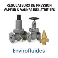 Régulateurs de Pression Vapeur & Vannes Industrielles – ENVIROFLUIDES