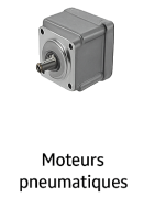 Moteurs pneumatiques